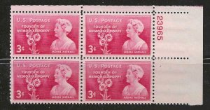 USA   SC # 977   PB   MNH