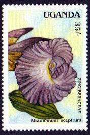 Uganda 616 Zingiberaceae Flower, MNH