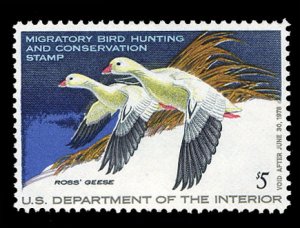 United States, Duck Hunting #RW44 Cat$15, 1977 $5 Ross' Geese, never hinged