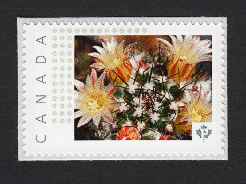 CACTUS FLOWERS = Picture Postage Personalized Stamp Canada 2015 MNH p15-01-sn09