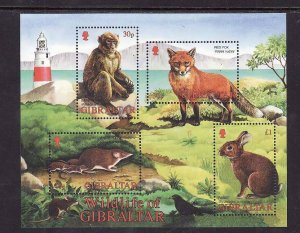 Gibraltar-Sc#912a-unused NH sheet-Animals-Wildlife-2002-