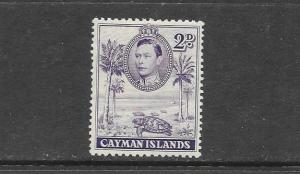 TURTLE - CAYMAN ISLANDS #104