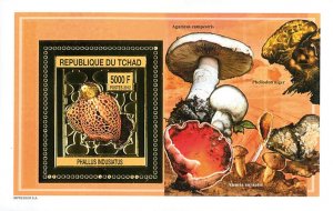 Chad 2012 Imperf. Mushrooms Gold issue (2012) Luxe Block No. A 2554 - B 2554 --