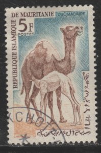 Mauritania 138 Dromdaire Camels 1963