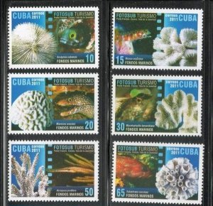 CUBA Sc# 5249-5254  CORAL & FISH Marine Photography  CPL SET of  6    2011  MNH
