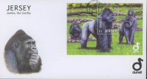 Jersey 1620 FDC cover Gorilla animal (2110 116)