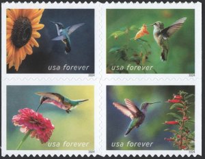 NEW ISSUE (Forever) Garden Delights Booklet Block of Four (2024) SA