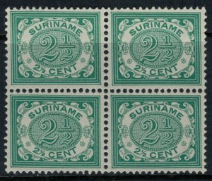 Surinam #47*  CV $20.00