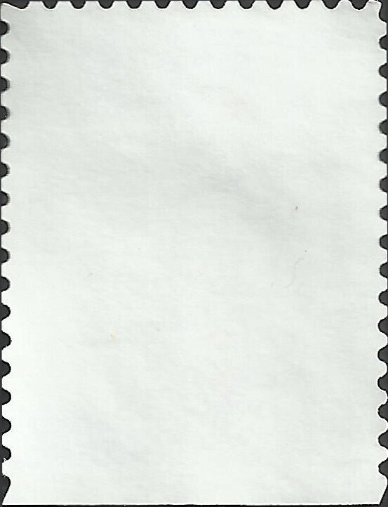 # 3123 USED LOVE TWO SWANS