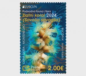 Montenegro - Postfris/MNH - Europa, Underwater World 2024