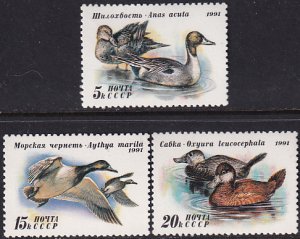 Russia 1991 Sc 6009-11 Anas Acuta Aythya Marila Oxyura Leucocephala Stamp MNH