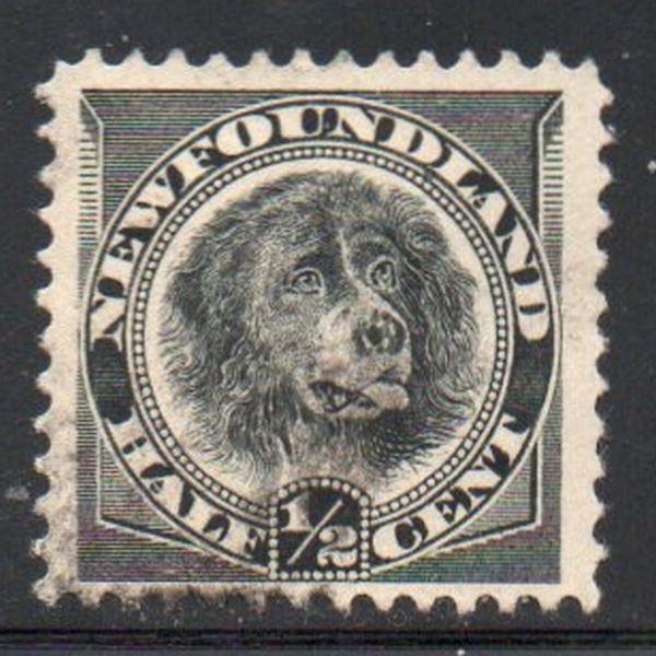 Newfoundland Sc 58 1894 1/2c black dog stamp used