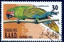 Bird, Parrot, Sahara Stamp used