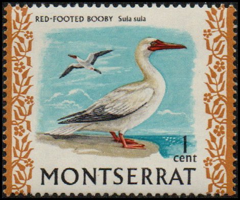 Montserrat 231a - Mint-NH - 1c Red-footed Booby (1972) (cv $0.80)