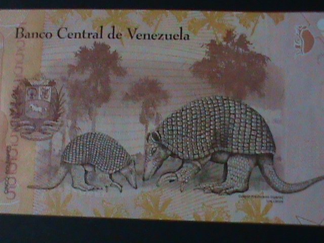 ​VENEZUELA-2013 -CENTRAL BANK-$5 LOVELY CUSPON- POLYMER NOTE-UNC-VF- WATER MARK