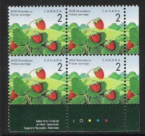 Canada PL BL Wild Strawberry 2