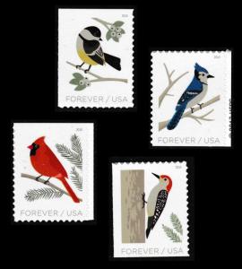 US 5317-5320 Birds in Winter forever set (4 stamps) MNH 2018