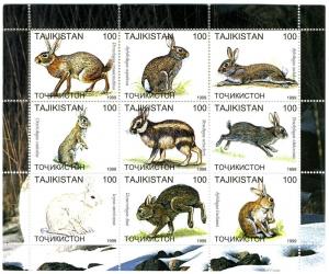 Tajikistan 1999 RABBITS Sheet (9) Perforated Mint (NH)