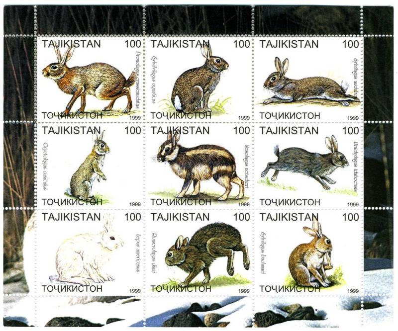 Tajikistan 1999 RABBITS Sheet (9) Perforated Mint (NH)
