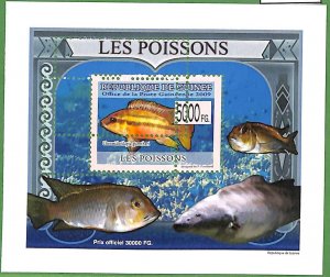 A0555 -  GUINEE Guinea -  ERROR   MISSPERF SHEET - MARINE FAUNA: Fish 2009