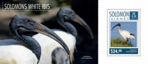 SOLOMON ISLANDS 2014 SHEET WHITE IBIS BIRDS slm14708b