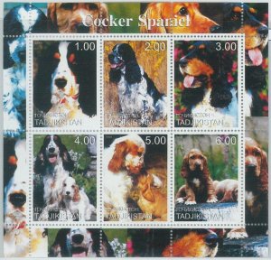 M1879 - TAJIKISTAN, 2000 MINIATURE SHEET: Dogs, Cocker Spaniel