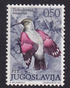 Yugoslavia   #1102  used 1972  birds 50p  wall creeper