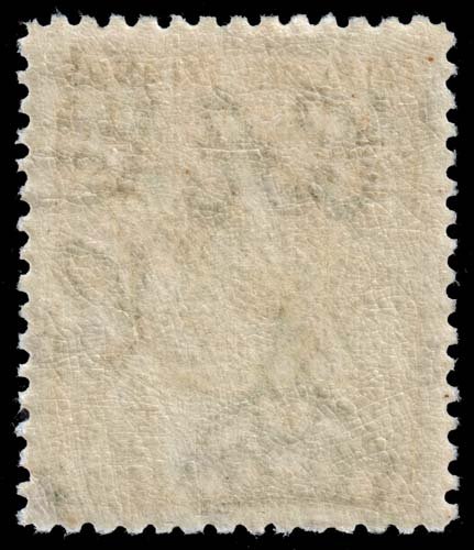 Falkland Islands - Scott 54 - Mint-Hinged