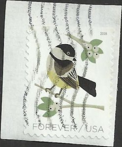 # 5317 Used Black-Capped Chickadoo