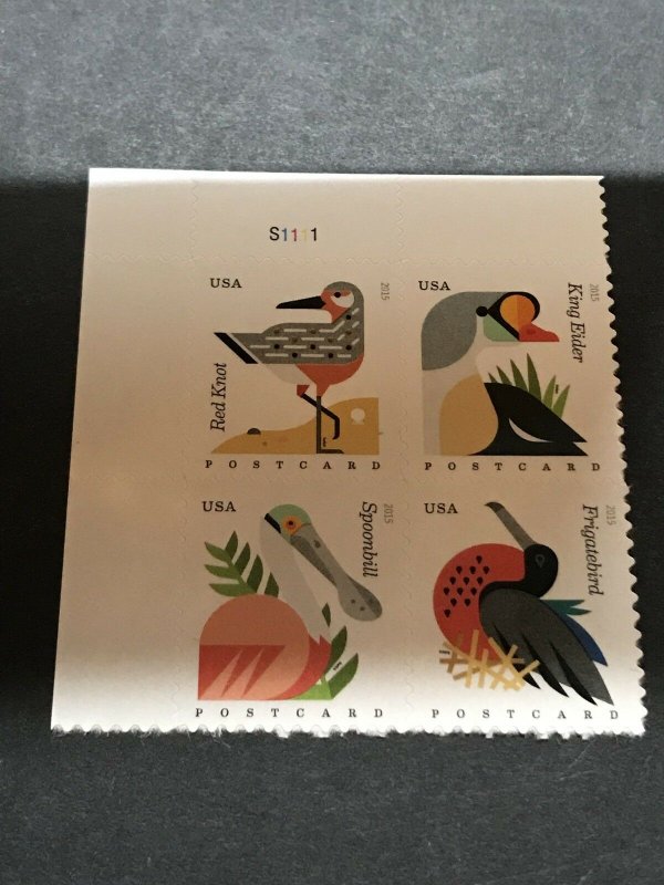 Scott #4991-94, Block Of 4 (2015)Coastal Birds MNH