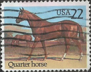 # 2155 USED QUARTER HORSE