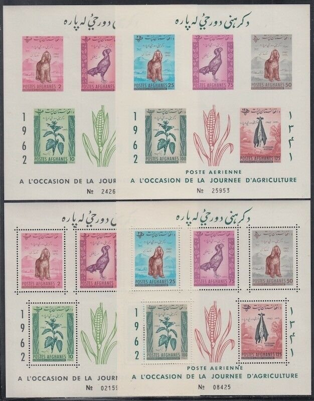 AFGHANISTAN Sc# 0565,074.1 CPL MNH Sheetelets of 5 PERF & IMPERF DOGS, FLOWERS