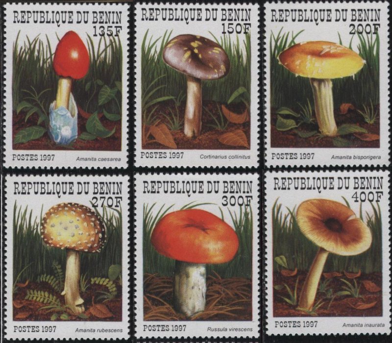 Benin 1029-1034 (mnh set of 6) mushrooms (1997)