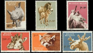 Belgium 1961 Sc B690-B695 Rhino Giraffe Horse Okapi Panda Moose CV $9.85