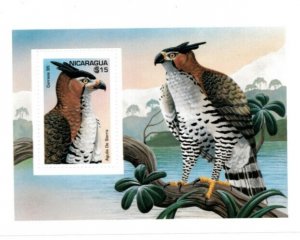 Nicaragua 1995 - Hawk Bird - Souvenir Stamp Sheet - Scott #2112 - MNH