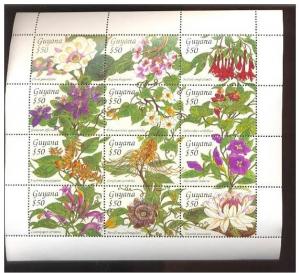 GUYANA SHEET FLOWERS ORCHIDS