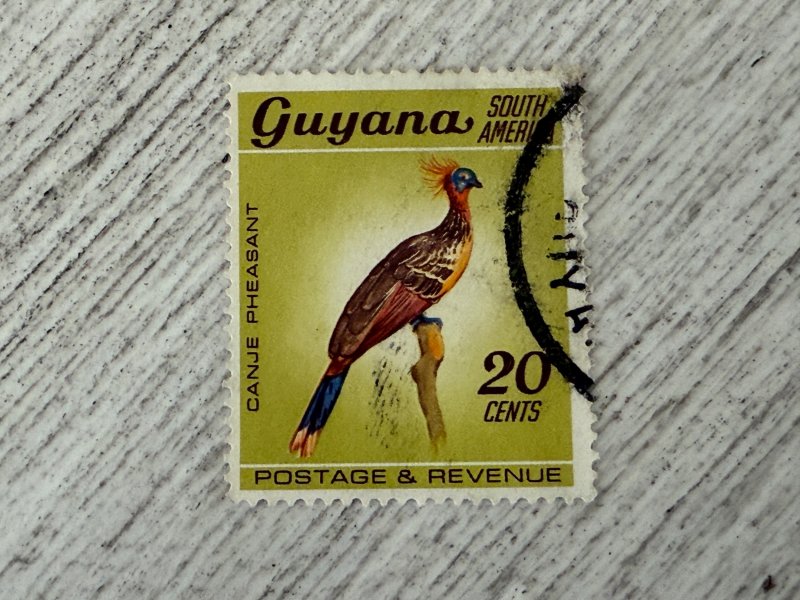 Guyana #46 Used, 20c, Canje Pheasant (Hoatzin), 2024 SCV $0.25