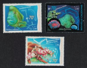 New Caledonia Hump-headed Wrasse Fish Corals Prawn Noumea Aquarium 3v 2000