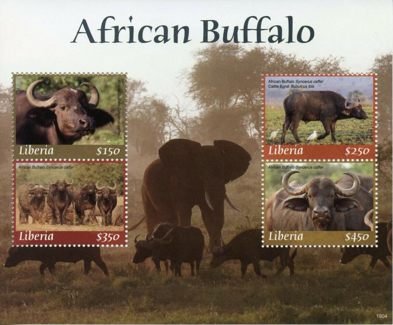 Liberia 2019 MNH African Buffalo 4v M/S Birds Elephants Wild Animals Stamps 