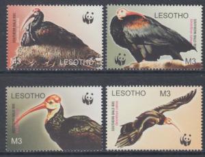 XG-BA799 LESOTHO - Wwf, 2004 Nature, Birds, Bald Ibis MNH Set