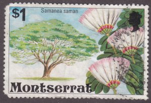 Montserrat 351 Saman Tree 1976