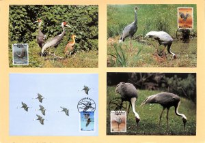 South Korea WWF World Wild Fund for Nature maxicards White naped crane birds