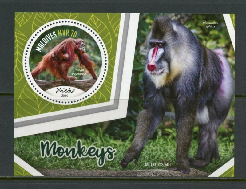 MALDIVES 2019 MONKEYS SOUVENIR SHEET  MINT NEVER HINGED