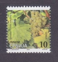 2021 Serbia 979II Fruit - Grapes