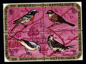Burundi.Birds