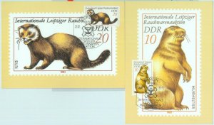 89871 - GERMANY DDR - Postal History - 2 MAXIMUM CARDS -  Animals NATURE 1981