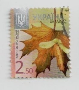 2012 Ukraine, stamp Maple, 8th issue standards,  Flora, plants, USED