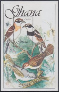 GHANA Sc # 1156 MNH S/S of BIRDS