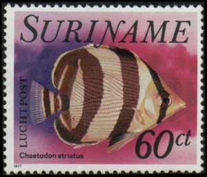 Suriname C72 - Mint-NH - 60c Banded Butterflyfish (1977) (cv $0.80)