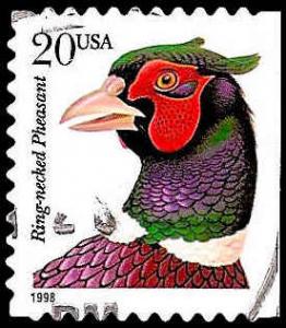 # 3050 USED RING-NECKED PHEASANT